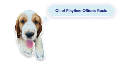 Chief Playtime Officer: Rosie